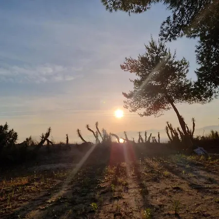 Willa Sunrise Villa, - Garden Gate Opens Onto The *