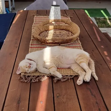 Sunrise Villa, - Garden Gate Opens Onto The * Potamion