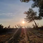 Villa Sunrise Villa, - Garden Gate Opens Onto The *